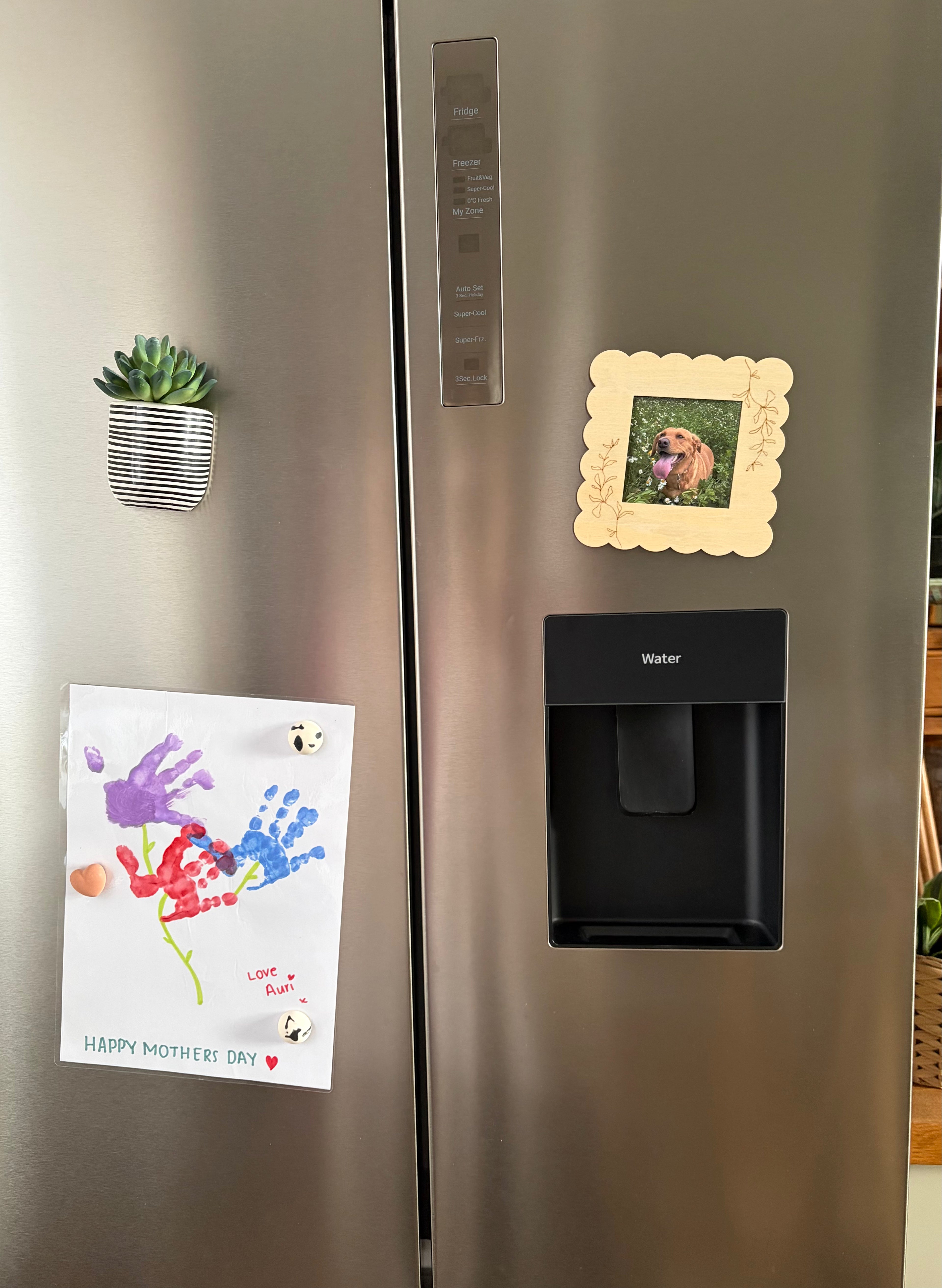 Fridge Frame